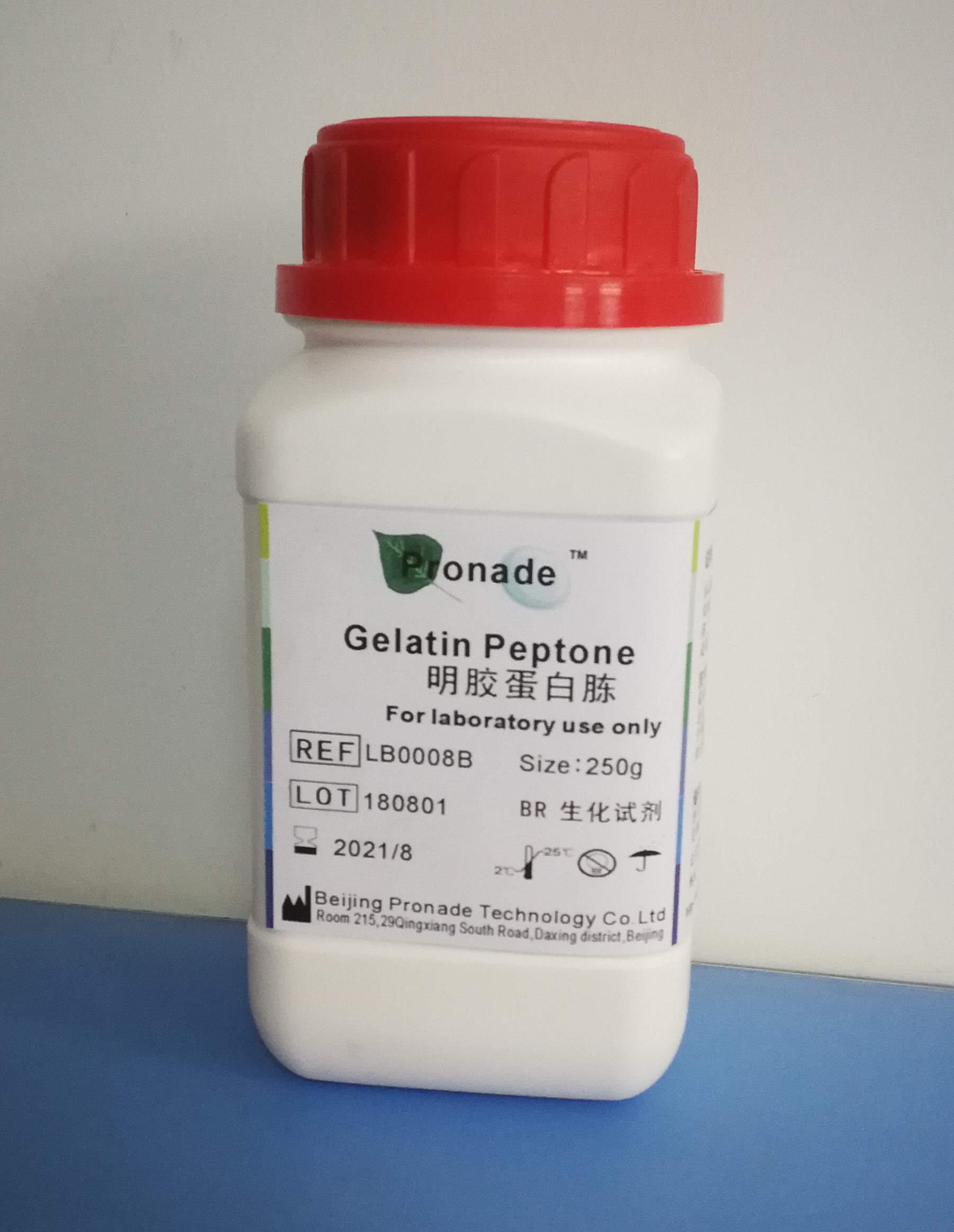 明胶蛋白胨 Gelatin Peptone